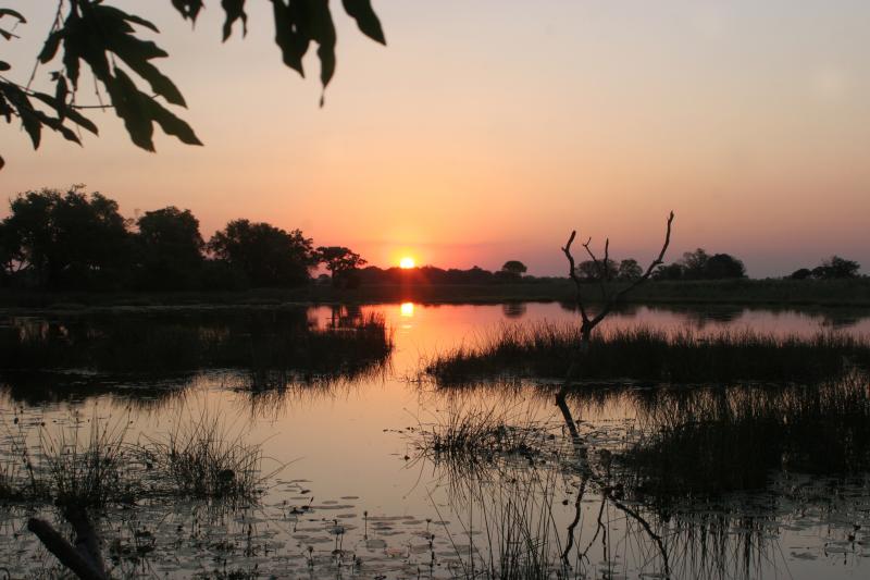 Botswana, Okavango Delta, Pom Pom Camp