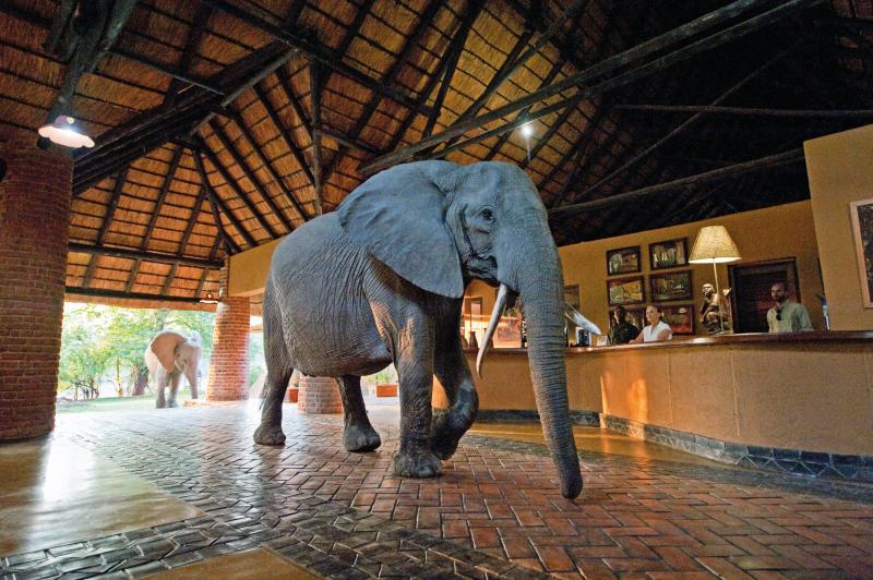 Sambia, South Luangwa Nationalpark, Mfuwe Lodge, Lodge