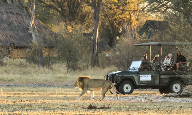 Simbabwe, Hwange Nationalpark, Game Drive