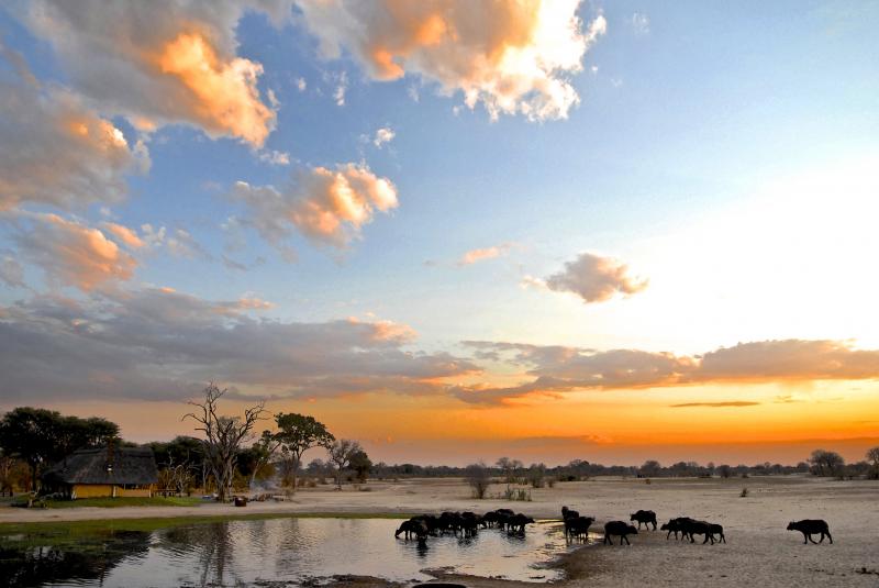 Simbabwe, Hwange Nationalpark, Game Drive