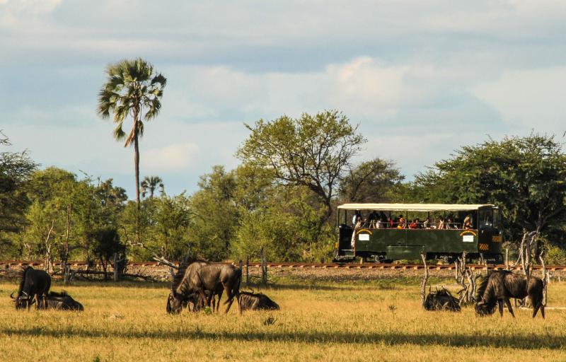 Simbabwe, Hwange Nationalpark, Elephant Express