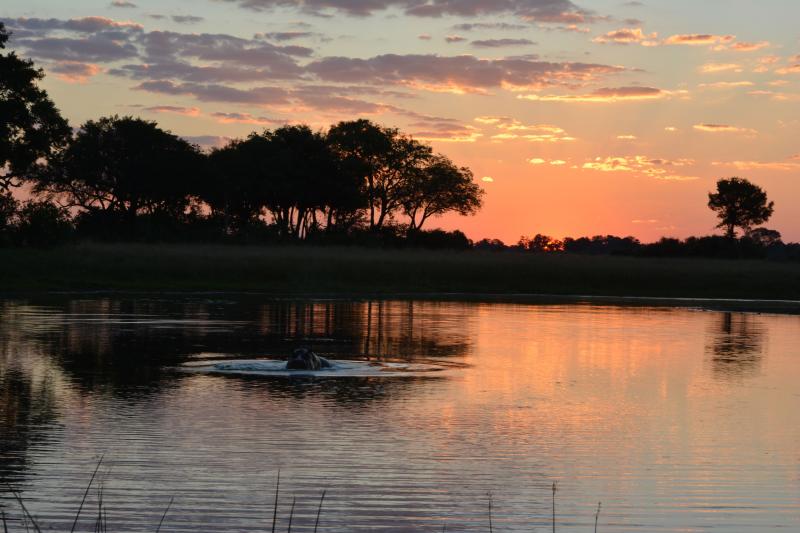Sonnenuntergang im Oavango Delta
