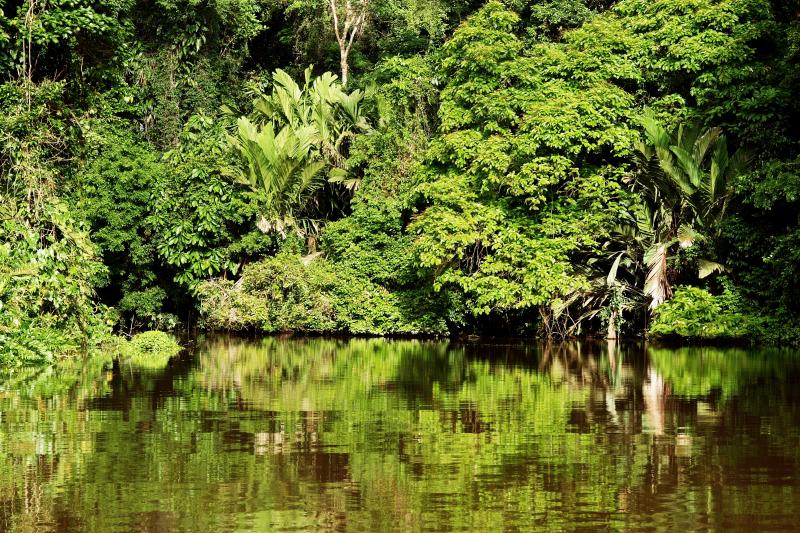 Costa Rica, Nationalpark Tortuguero ©pixabay.com/Praesentator