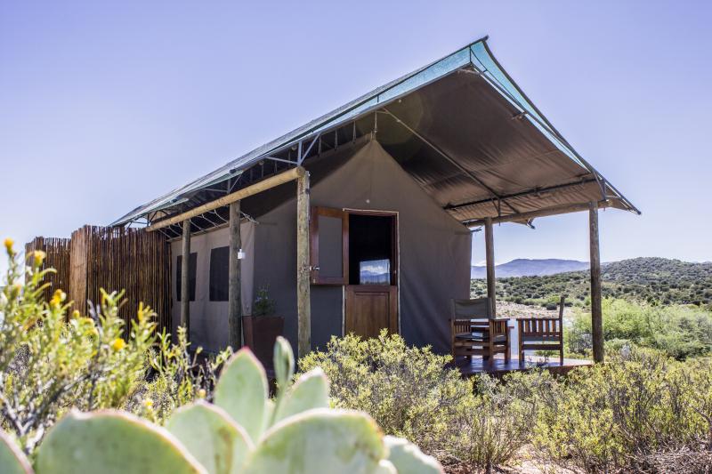 Südafrika, Oudtshoorn, Buffelsdrift Game Lodge