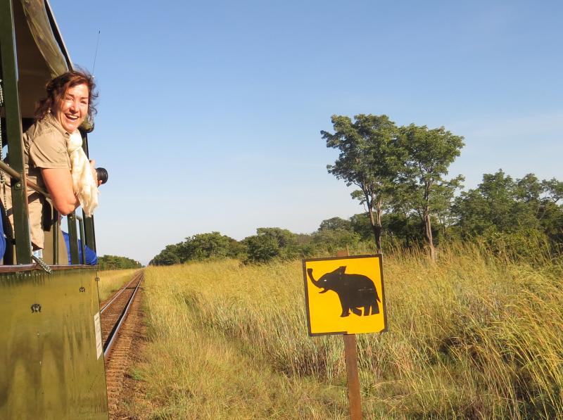 Simbabwe, Hwange Nationalpark, Elephant Express