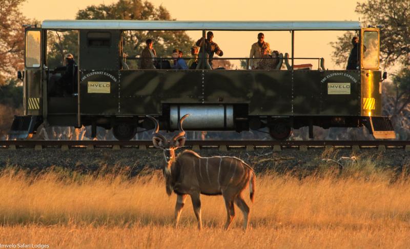 Simbabwe, Hwange Nationalpark, Elephant Express