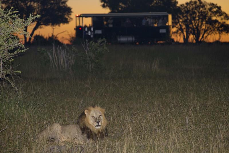 Simbabwe, Hwange Nationalpark, Elephant Express