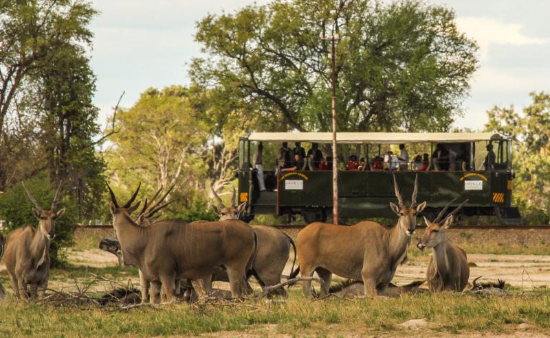 Simbabwe, Hwange Nationalpark, Elephant Express