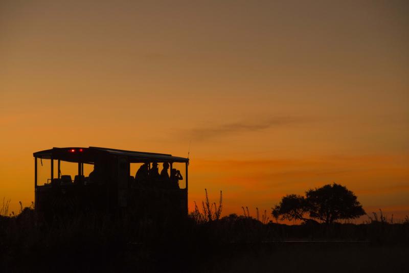 Simbabwe, Hwange Nationalpark, Elephant Express
