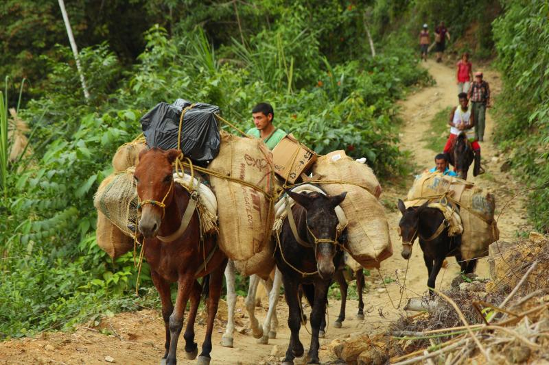 Kolumbien, Santa Marta, Ciudad Perdida