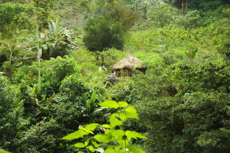 Kolumbien, Santa Marta, Ciudad Perdida