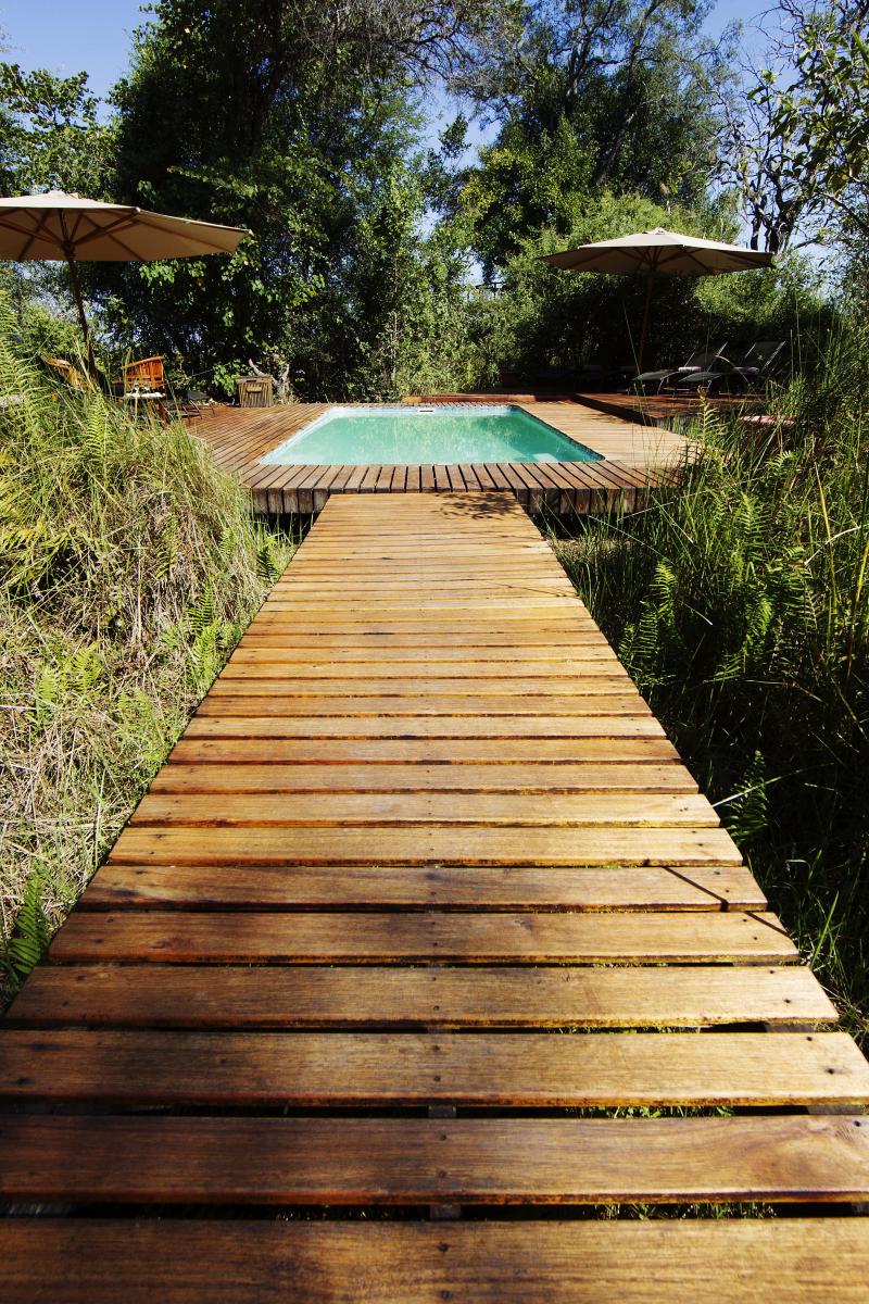 Botswana, Moremi Game Reserve, Camp Moremi, Pool
