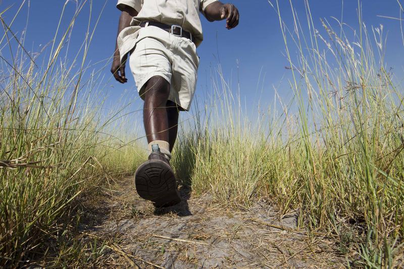 Botswana, Okavango Delta, Camp Okavango, Safari, Gamedrive, Bushwalk, Ranger