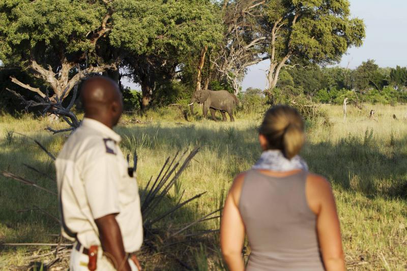 Botswana, Okavango Delta, Camp Okavango, Safari, Gamedrive, Bushwalk, Ranger