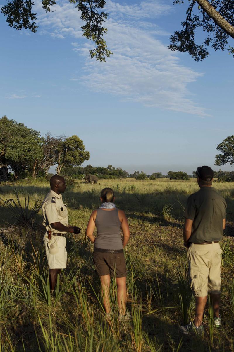 Botswana, Okavango Delta, Camp Okavango, Safari, Gamedrive, Bushwalk, Ranger