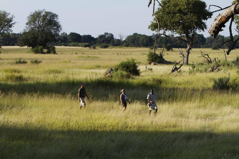 Botswana, Okavango Delta, Camp Okavango, Safari, Gamedrive, Bushwalk, Ranger