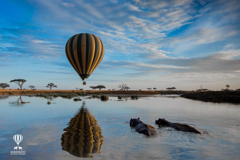 Serengeti Balloon Safaris, Nilpferde beobachten