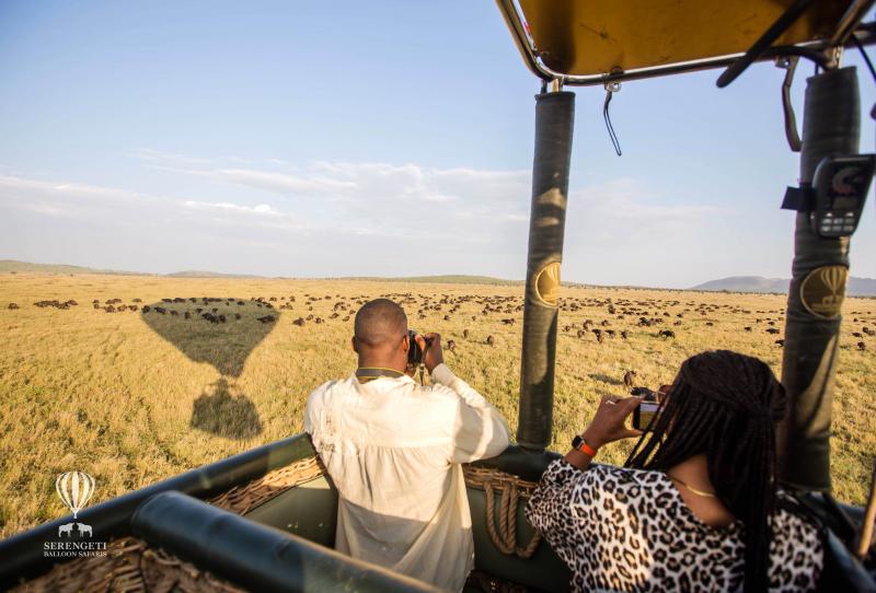 Serengeti Balloon Safaris, Gnus beobachten