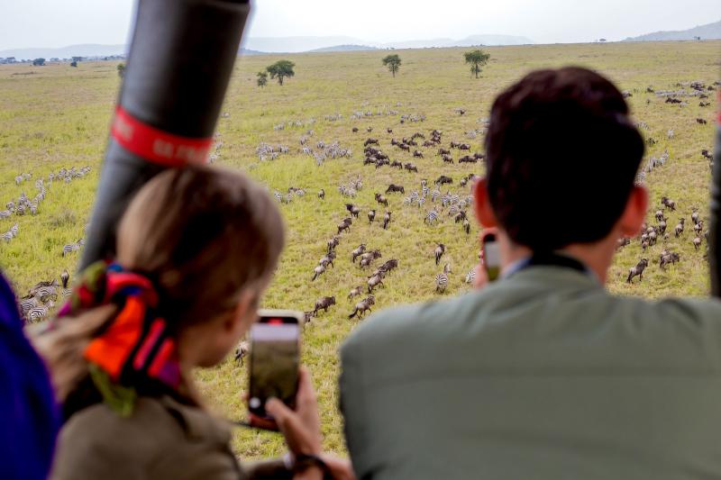 Serengeti Balloon Safaris, Gnus beobachten
