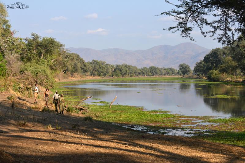 Sambia, Lower Zambezi Nationalpark, Sausage Tree Camp, Walking Safari