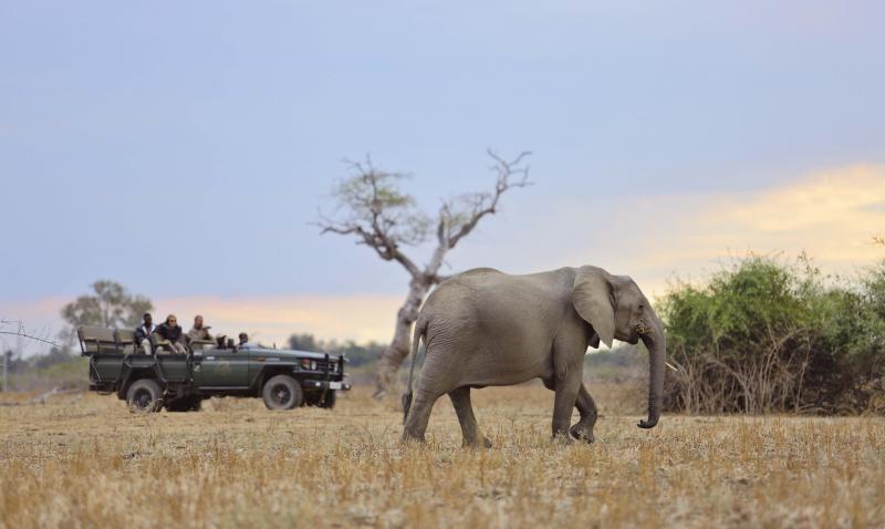 Sambia, Luangwa Nationalpark, Lions Camp, Game Drive