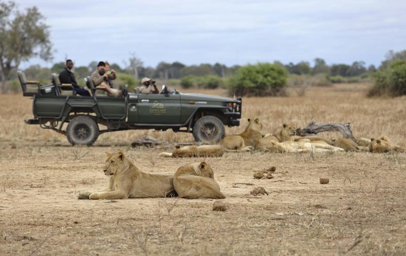 Sambia, Luangwa Nationalpark, Lions Camp, Game Drive