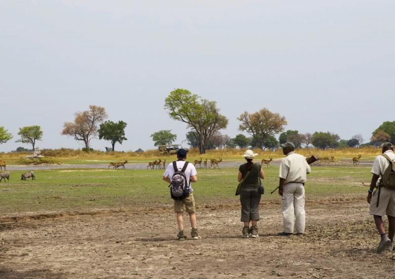 Botswana, Shinde, Walking Safari