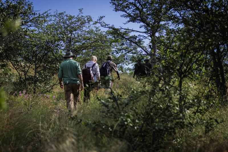 Namibia, Khorixas, Ohorongo Game Reserve, Walking Safari