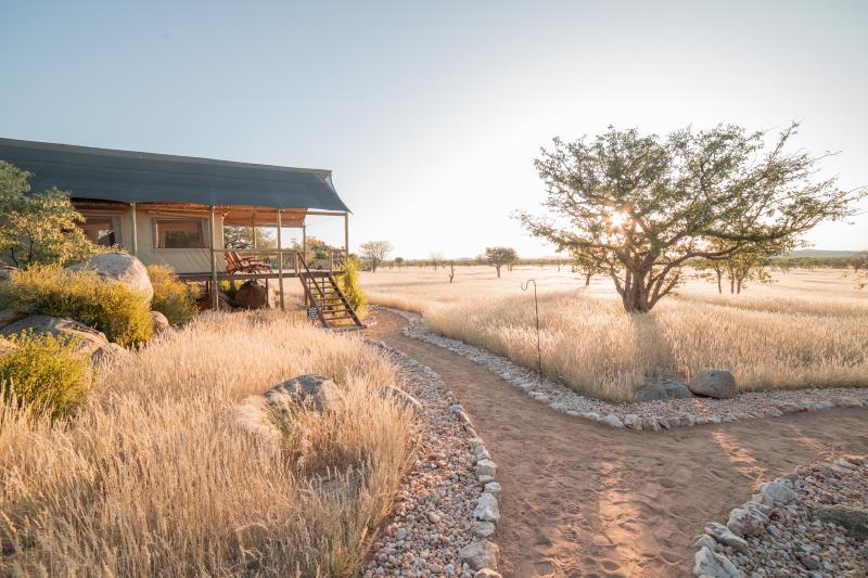 Namibia, Khorixas, Ohorongo Tented Camp, Tent Zebra