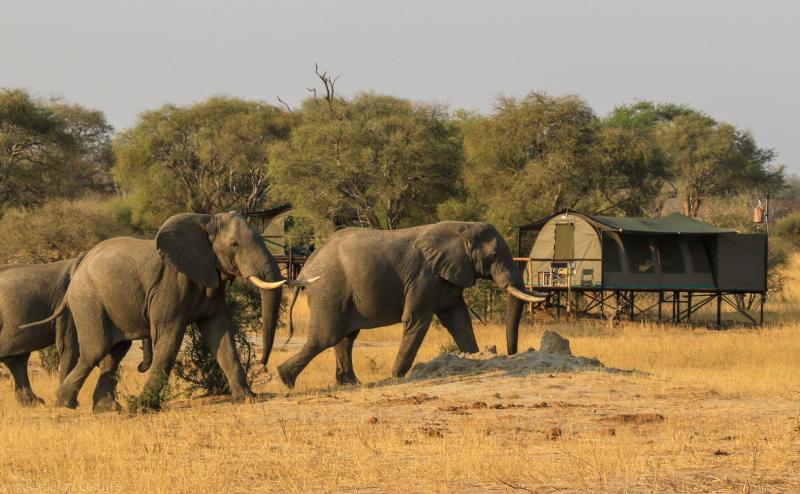 Simbabwe, Hwange NP, Jozibanini Camp