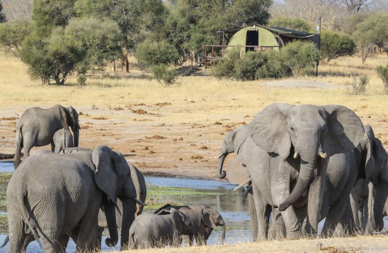 Simbabwe, Hwange NP, Jozibanini Camp