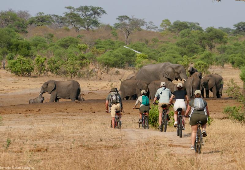 Simbabwe, Hwange NP, Jozibanini Camp